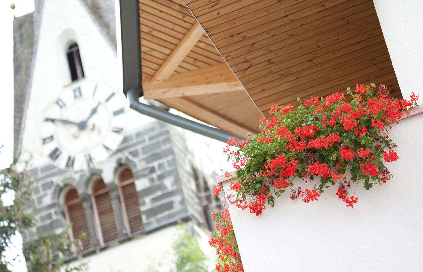 Detail of balcony with geraniums at Hotel Cavallino
