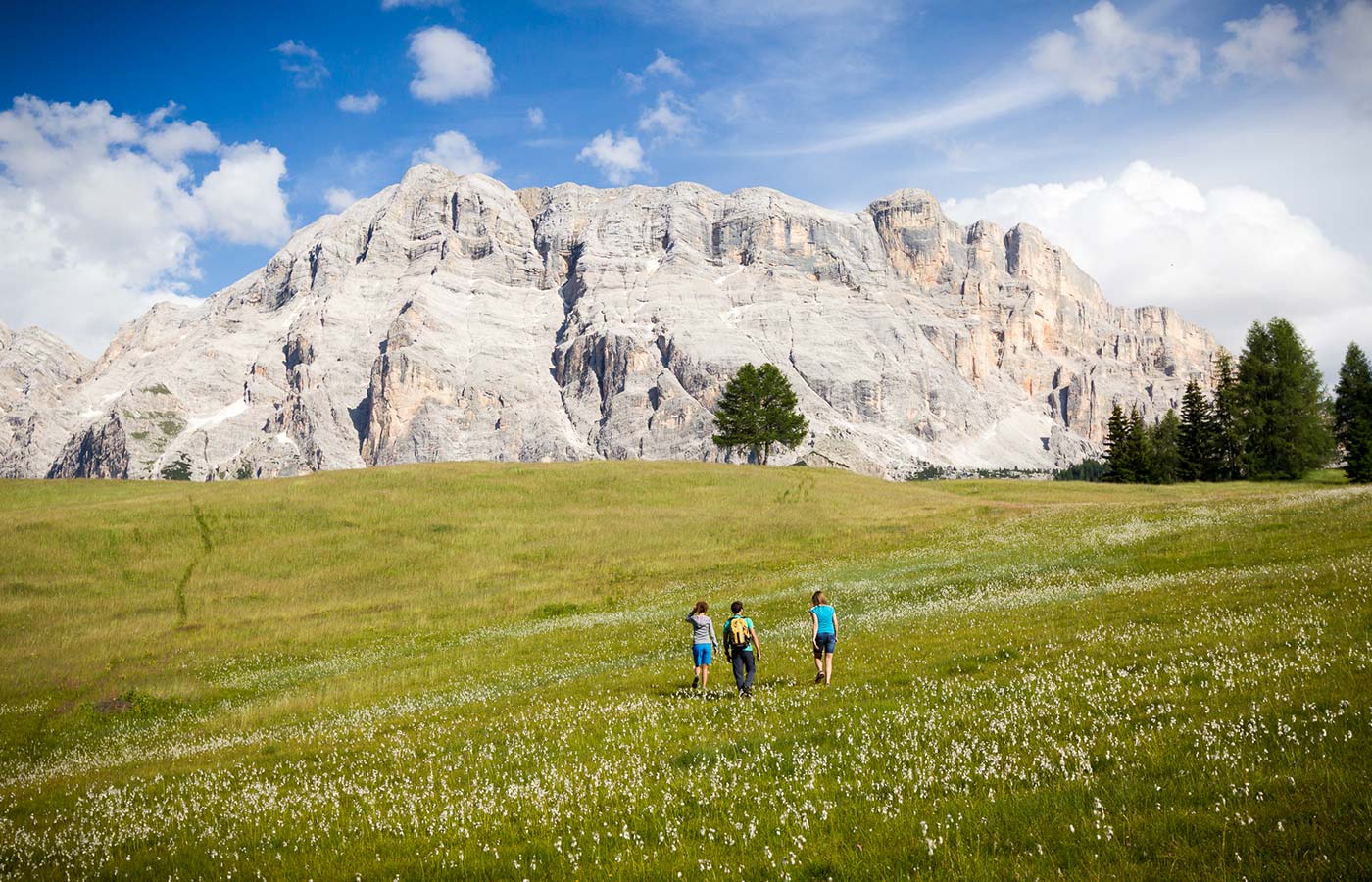 Escursionisti su un prato fiorito con le Dolomiti sullo sfondo